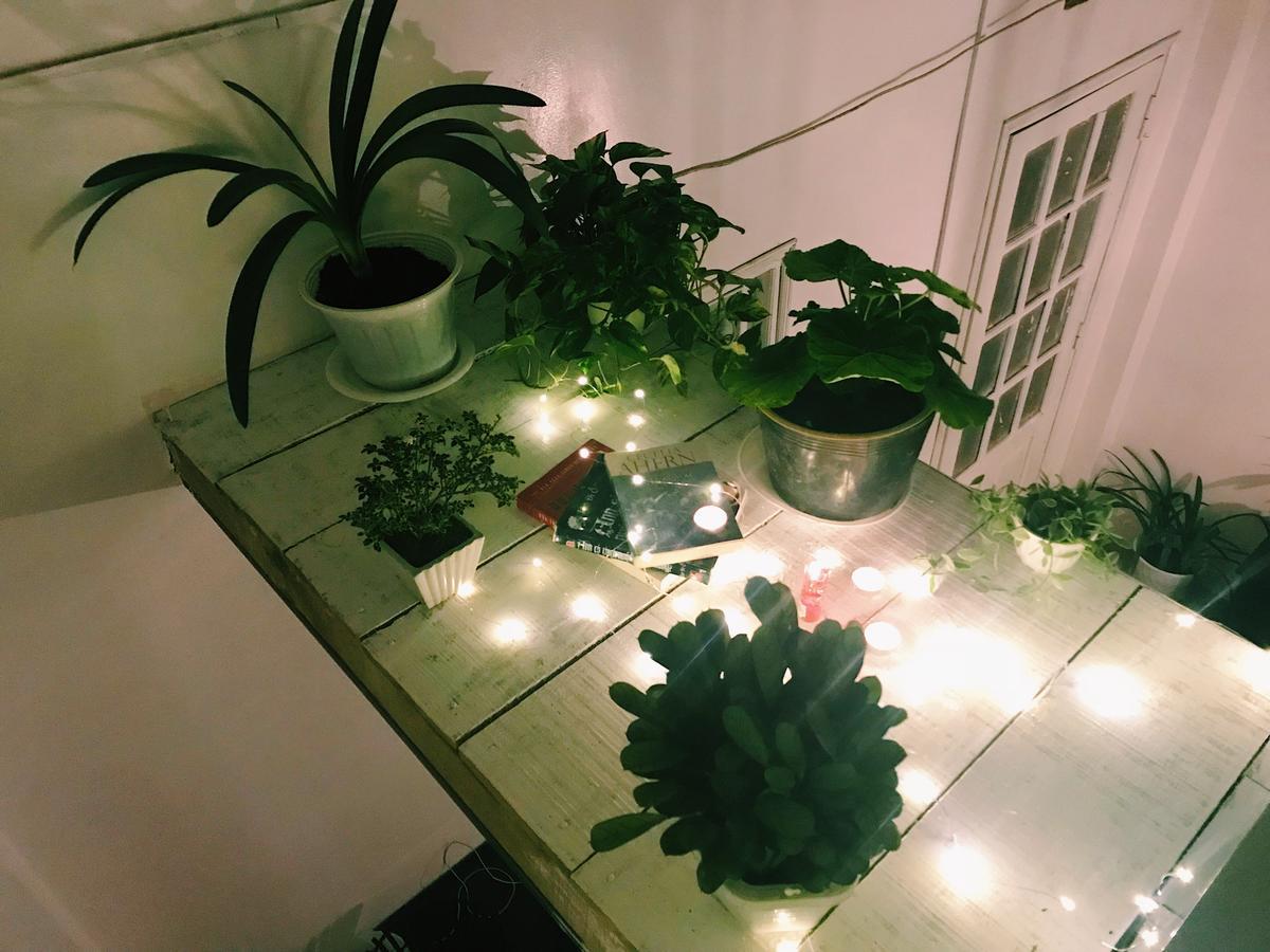 دالات The Balcony Bnb المظهر الخارجي الصورة